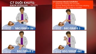 ASIA assessment English-Vietnamese | PDF