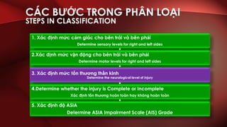ASIA assessment English-Vietnamese | PDF
