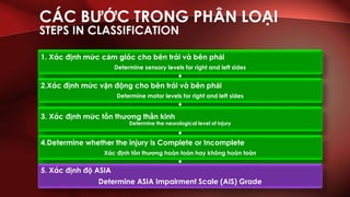 ASIA assessment English-Vietnamese | PDF