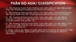 ASIA assessment English-Vietnamese | PDF