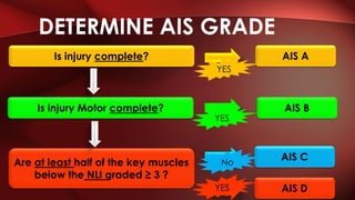 ASIA assessment English-Vietnamese | PDF