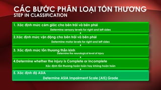 ASIA assessment English-Vietnamese | PDF