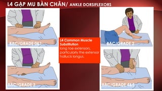Lecture asia assessment viet2 | PDF