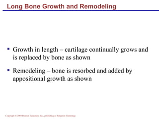 Lecture bone structure & markings #2clas | PPT