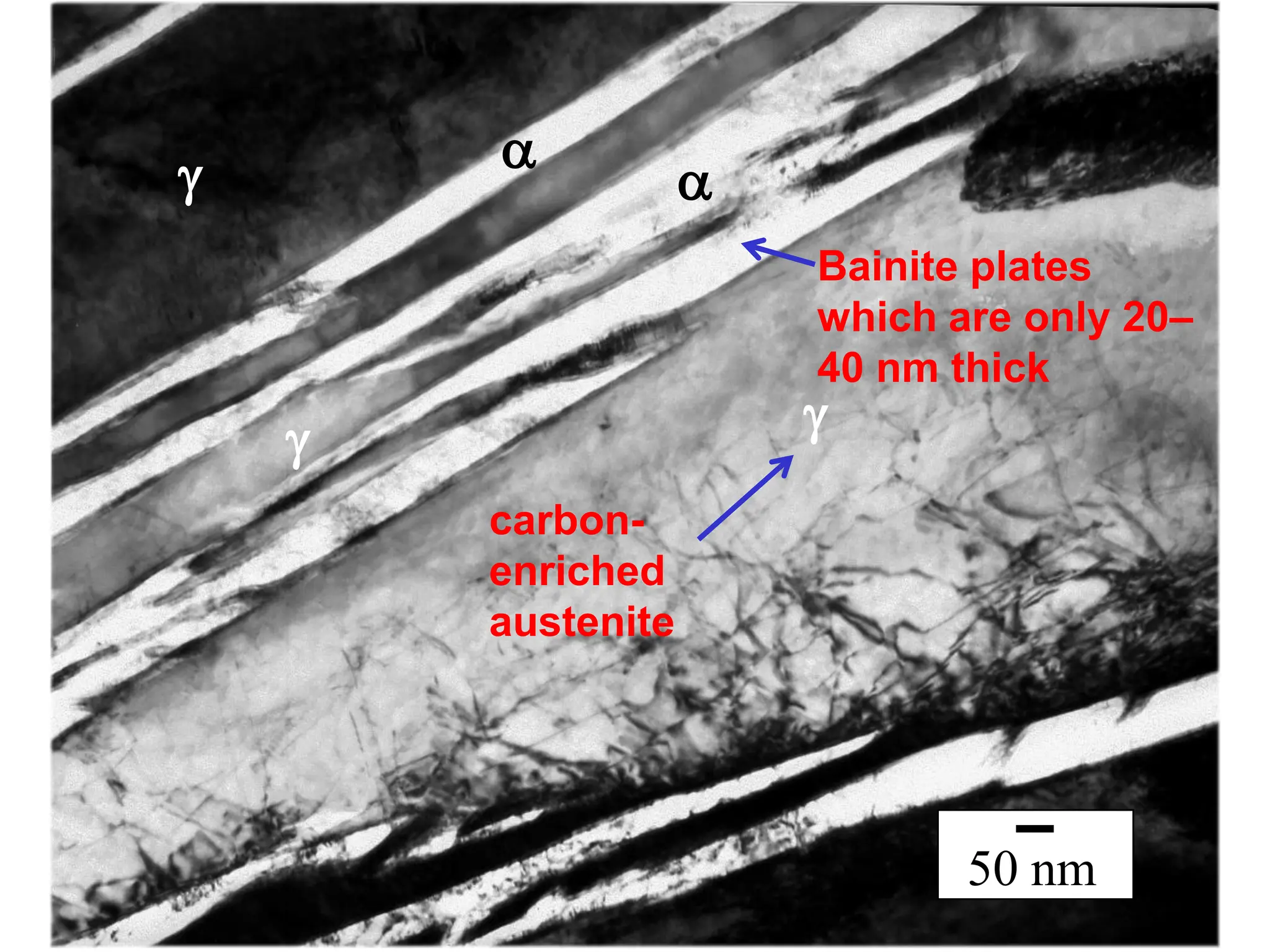 50 nm
a
g
g
g a
Bainite plates
which are only 20–
40 nm thick
carbon-
enriched
austenite
 