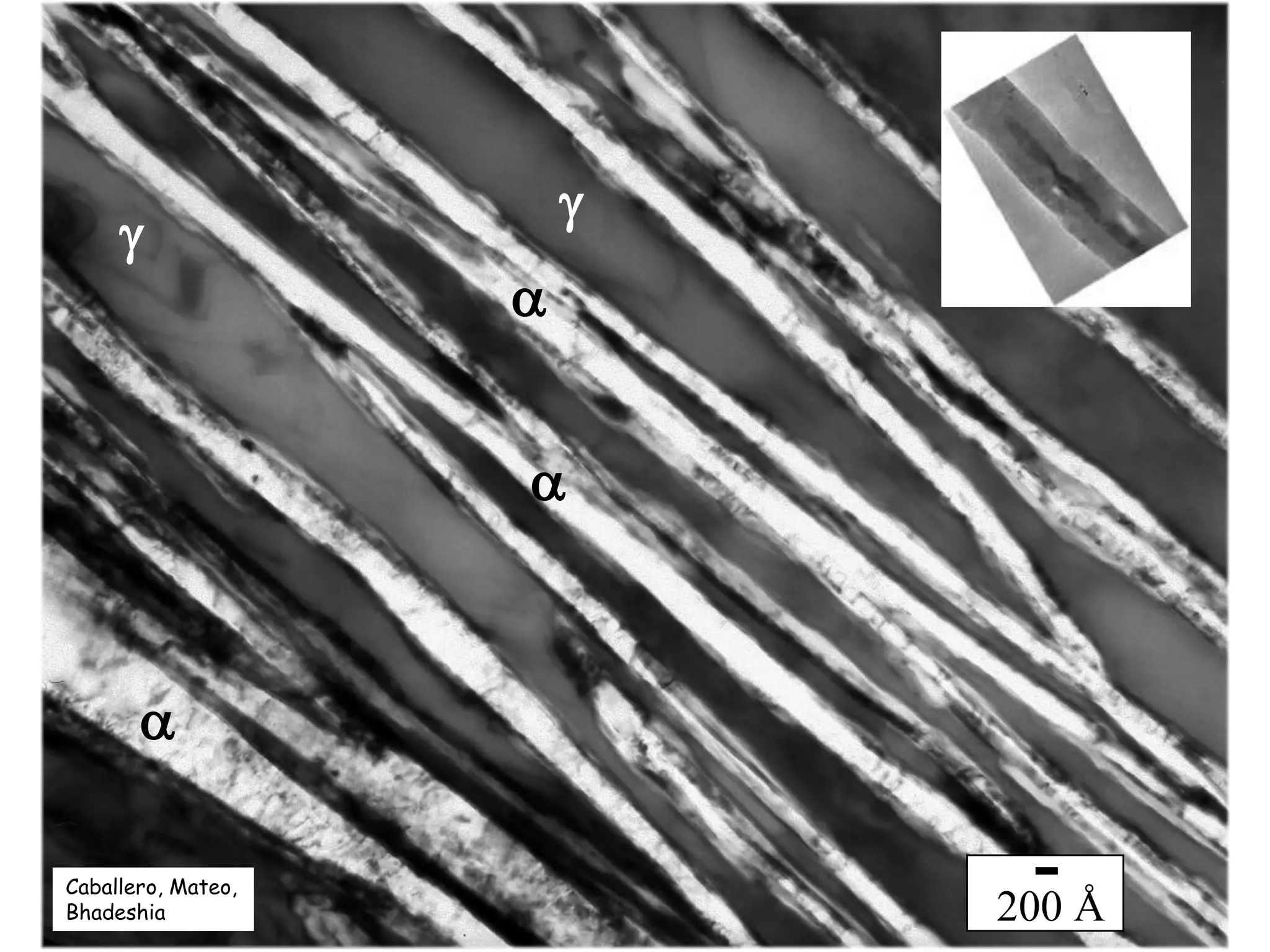 200 Å
g
g
a
a
a
Caballero, Mateo,
Bhadeshia
 
