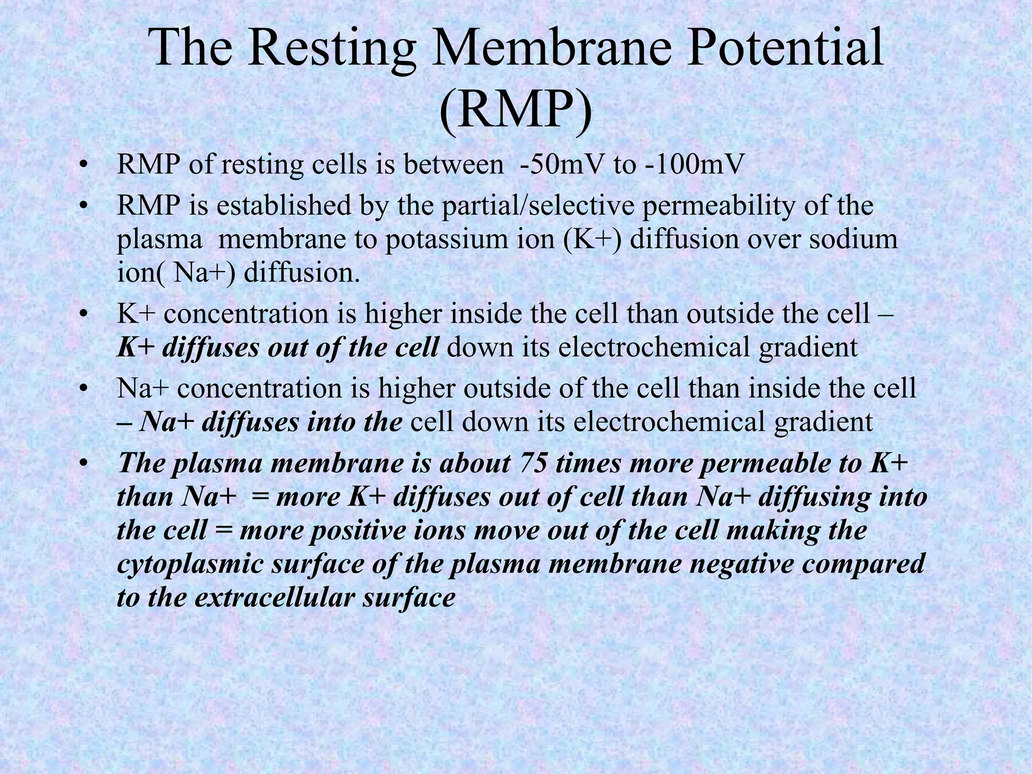 The Resting Membrane Potential (RMP) RMP of resting cells is between  -50mV to -100mV RMP is established by the partial/selective permeability of the plasma  membrane to potassium ion (K+) diffusion over sodium ion( Na+) diffusion. K+ concentration is higher inside the cell than outside the cell –  K+ diffuses out of the cell  down its electrochemical gradient Na+ concentration is higher outside of the cell than inside the cell  – Na+ diffuses into the  cell down its electrochemical gradient The plasma membrane is about 75 times more permeable to K+ than Na+  = more K+ diffuses out of cell than Na+ diffusing into the cell = more positive ions move out of the cell making the cytoplasmic surface of the plasma membrane negative compared to the extracellular surface 
