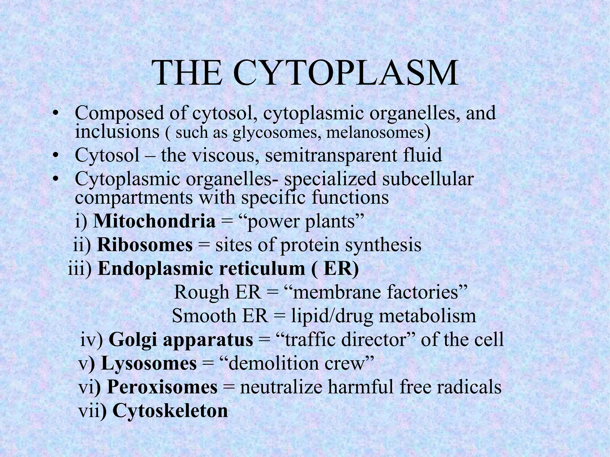 THE CYTOPLASM Composed of cytosol, cytoplasmic organelles, and inclusions  ( such as glycosomes, melanosomes ) Cytosol – the viscous, semitransparent fluid Cytoplasmic organelles- specialized subcellular compartments with specific functions  i)  Mitochondria  = “power plants” ii)  Ribosomes  = sites of protein synthesis iii)  Endoplasmic reticulum ( ER) Rough ER = “membrane factories” Smooth ER = lipid/drug metabolism   iv)  Golgi apparatus  = “traffic director” of the cell v ) Lysosomes  = “demolition crew” vi ) Peroxisomes  = neutralize harmful free radicals vii ) Cytoskeleton 
