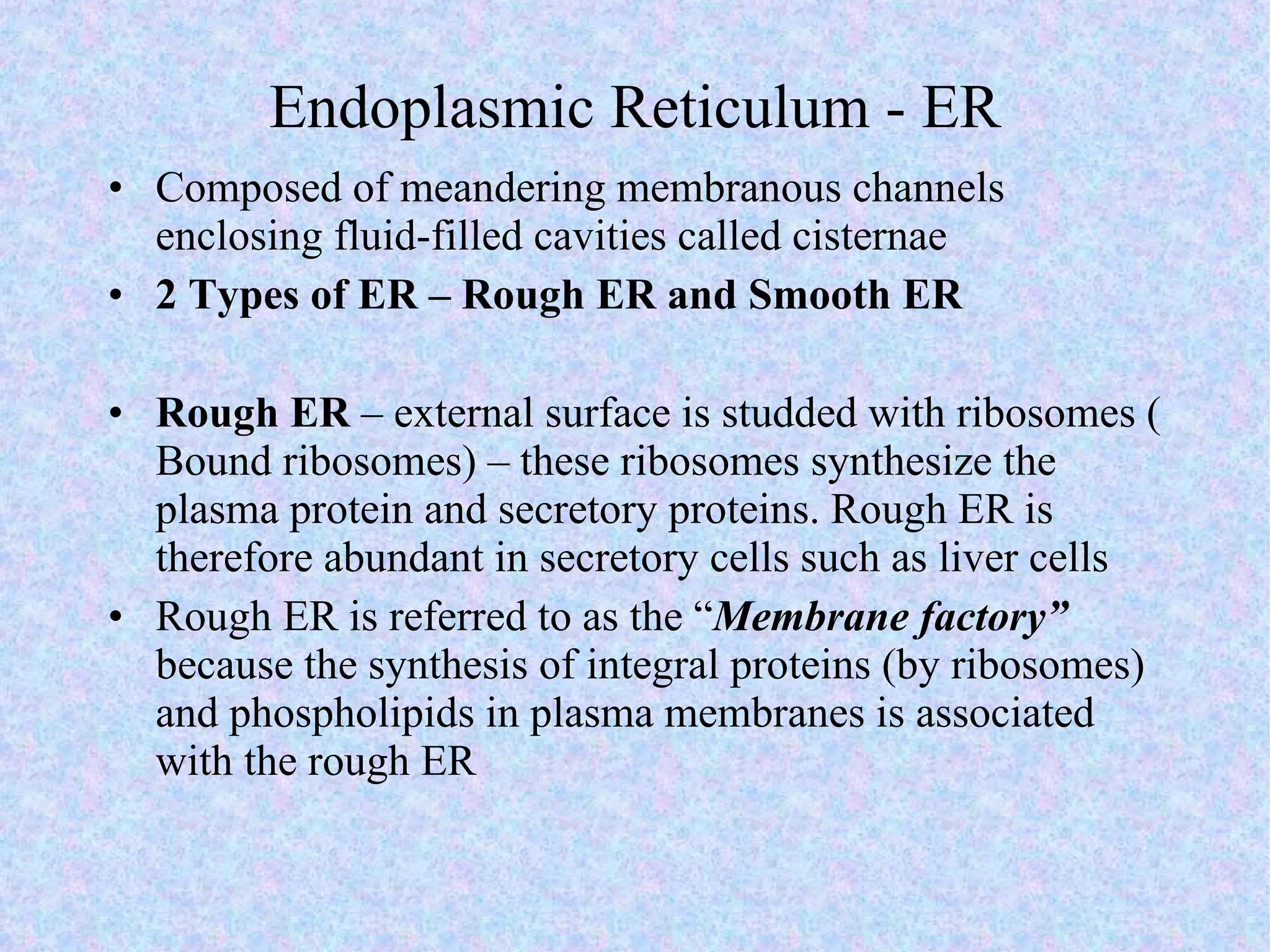 Endoplasmic Reticulum - ER Composed of meandering membranous channels enclosing fluid-filled cavities called cisternae  2 Types of ER – Rough ER and Smooth ER Rough ER  – external surface is studded with ribosomes ( Bound ribosomes) – these ribosomes synthesize the plasma protein and secretory proteins. Rough ER is therefore abundant in secretory cells such as liver cells Rough ER is referred to as the “ Membrane factory”  because the synthesis of integral proteins (by ribosomes) and phospholipids in plasma membranes is associated with the rough ER 