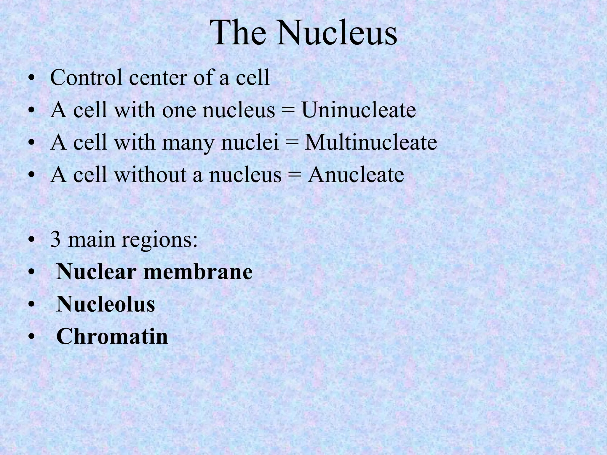 The Nucleus Control center of a cell A cell with one nucleus = Uninucleate A cell with many nuclei = Multinucleate A cell without a nucleus = Anucleate 3 main regions: Nuclear membrane Nucleolus Chromatin 