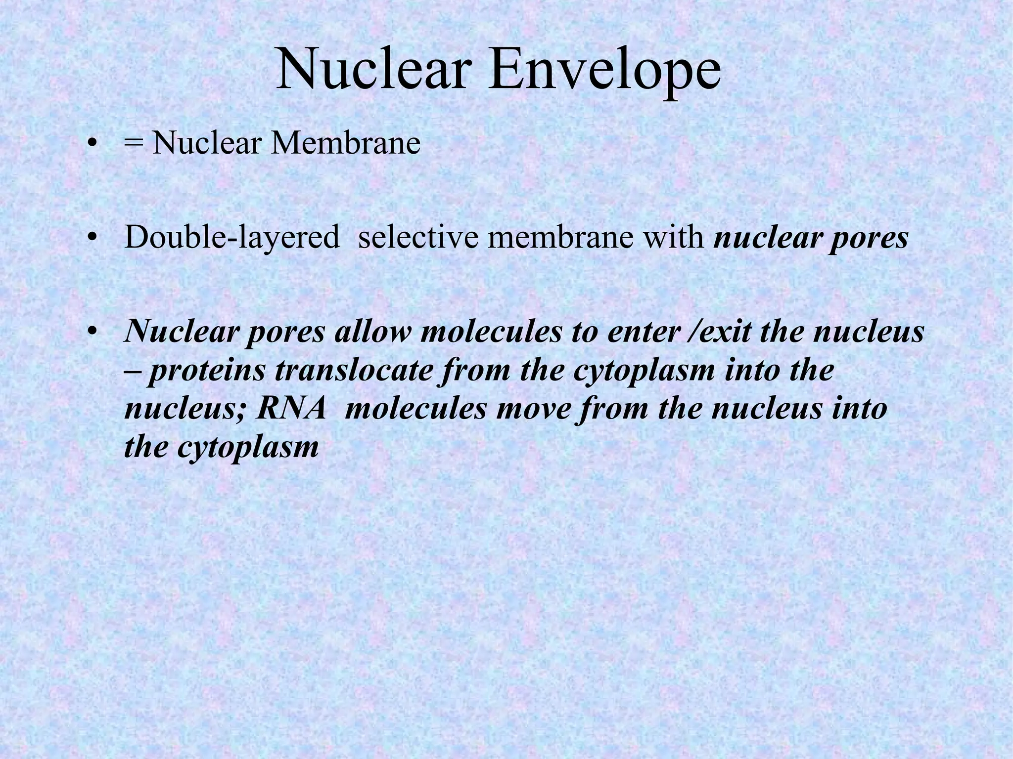Nuclear Envelope  = Nuclear Membrane  Double-layered  selective membrane with  nuclear pores Nuclear pores allow molecules to enter /exit the nucleus – proteins translocate from the cytoplasm into the nucleus; RNA  molecules move from the nucleus into the cytoplasm 