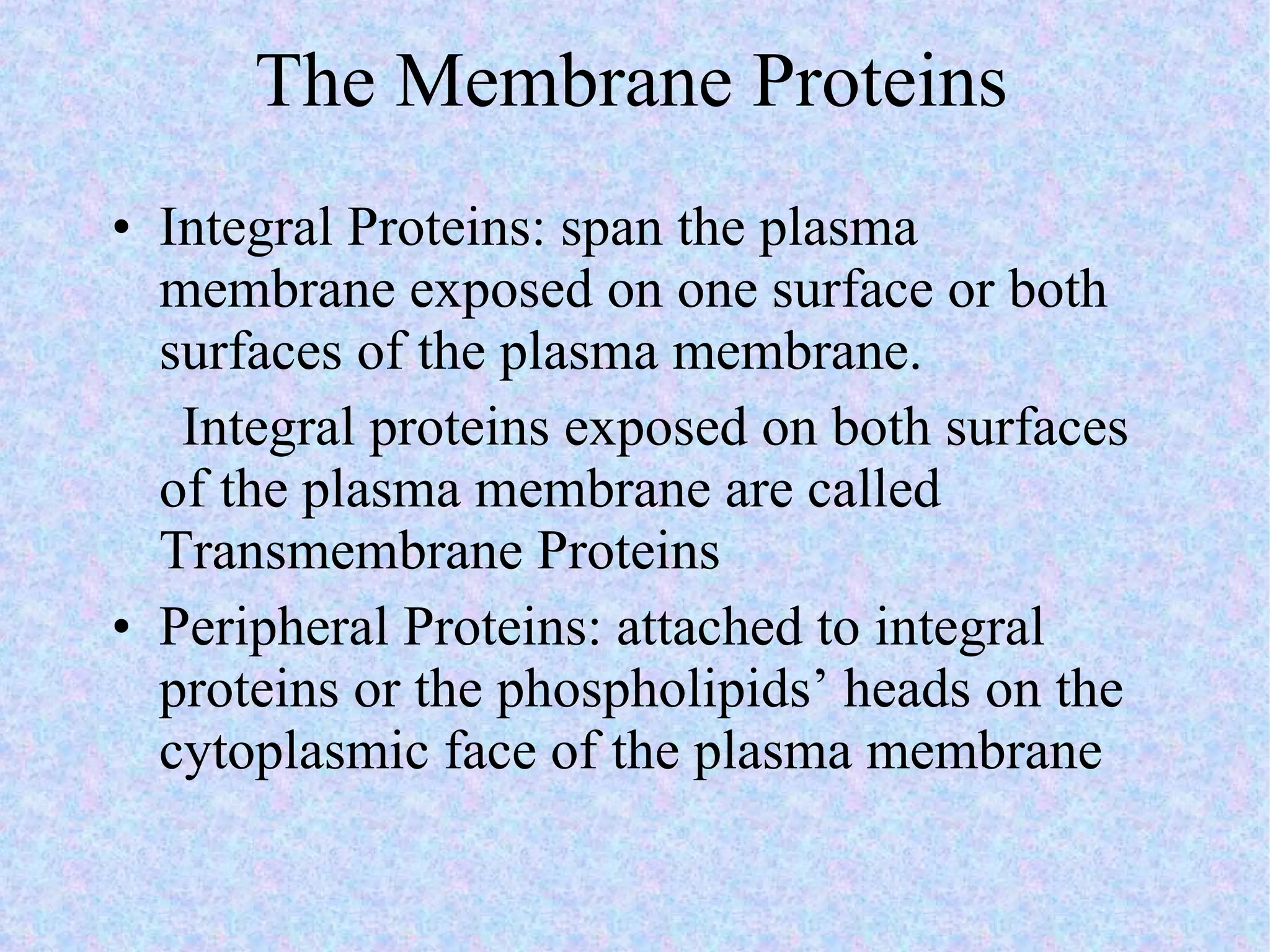 The Membrane Proteins Integral Proteins: span the plasma membrane exposed on one surface or both surfaces of the plasma membrane. Integral proteins exposed on both surfaces of the plasma membrane are called Transmembrane Proteins  Peripheral Proteins: attached to integral proteins or the phospholipids’ heads on the cytoplasmic face of the plasma membrane 