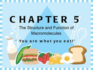 CHAPTER 5 The Structure and Function of Macromolecules ,[object Object]