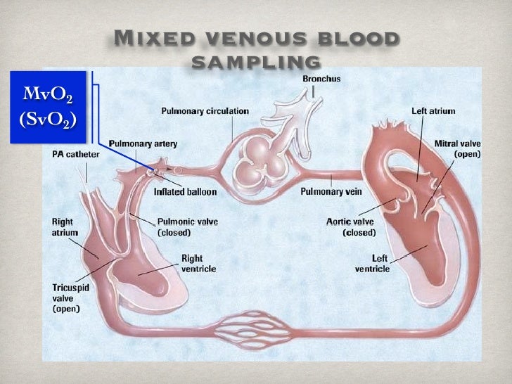 Lecture chest fellow_PSU 2012