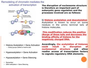 The disruption of nucleosome structure
is therefore an important part of
eukaryotic gene regulation and the
processes involved are as follows:
i) Histone acetylation and deacetylation
Acetylation is known to occur on lysine
residues in the amino terminal tails of
histone molecules.
This modification reduces the positive
charge of these tails and decreases the
binding affinity of histone for the
negatively charged DNA.
Accordingly, the acetylation of histones
could result in disruption of
nucleosomal structure and allow
readier access of transcription factors
to cognate regulatory DNA elements.
 