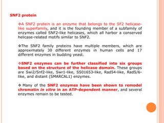 SNF2 protein
A SNF2 protein is an enzyme that belongs to the SF2 helicase-
like superfamily, and it is the founding member of a subfamily of
enzymes called SNF2-like helicases, which all harbor a conserved
helicase-related motifs similar to SNF2.
The SNF2 family proteins have multiple members, which are
approximately 30 different enzymes in human cells and 17
different enzymes in budding yeast.
SNF2 enzymes can be further classified into six groups
based on the structure of the helicase domain. These groups
are Swi2/Snf2-like, Swr1-like, SS01653-like, Rad54-like, Rad5/6-
like, and distant (SMARCAL1) enzymes.
 Many of the SNF2 enzymes have been shown to remodel
chromatin in vitro in an ATP-dependent manner, and several
enzymes remain to be tested.
 