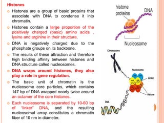 Histones
 Histones are a group of basic proteins that
associate with DNA to condense it into
chromatin.
 Histones contain a large proportion of the
positively charged (basic) amino acids ,
lysine and arginine in their structure.
 DNA is negatively charged due to the
phosphate groups on its backbone.
 The results of these attraction and therefore
high binding affinity between histones and
DNA structure called nucleosomes.
 DNA wraps around histones, they also
play a role in gene regulation.
 The basic unit of chromatin is the
nucleosome core particles, which contains
147 bp of DNA wrapped nearly twice around
an octamer of the core histones.
 Each nucleosome is separated by 10-60 bp
of “linker” DNA, and the resulting
nucleosomal array constitutes a chromatin
fiber of 10 nm in diameter.
 