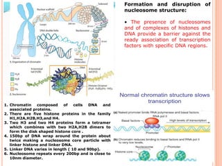 Formation and disruption of
nucleosome structure:
• The presence of nucleosomes
and of complexes of histones and
DNA provide a barrier against the
ready association of transcription
factors with specific DNA regions.
1. Chromatin composed of cells DNA and
associated proteins.
2. There are five histone proteins in the family
H1,H2A,H2B,H3,and H4.
3. Two H3 and two H4 proteins form a tetramer
which combines with two H2A,H2B dimers to
form the disk shaped histone core .
4. 150bp of DNA wrap around the protein about
twice making a nucleosome core particle with
linker histone and linker DNA.
5. Linker DNA varies in length ( 10 and 90bp).
6. Nucleosome repeats every 200bp and is close to
10nm diameter.
 