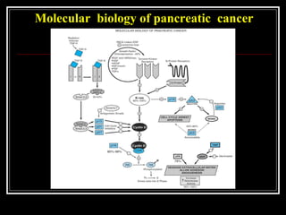 Molecular biology of pancreatic cancer
 