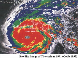 Satellite Image of The cyclone 1991 (Cobb 1993)
 