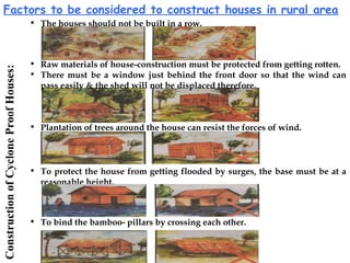Factors to be considered to construct houses in rural area
• The houses should not be built in a row.
• Plantation of trees around the house can resist the forces of wind.
• Raw materials of house-construction must be protected from getting rotten.
• There must be a window just behind the front door so that the wind can
pass easily & the shed will not be displaced therefore.
• To protect the house from getting flooded by surges, the base must be at a
reasonable height.
• To bind the bamboo- pillars by crossing each other.
ConstructionofCycloneProofHouses:
 