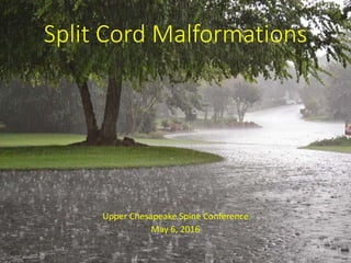 Split Cord Malformations
Upper Chesapeake Spine Conference
May 6, 2016
 