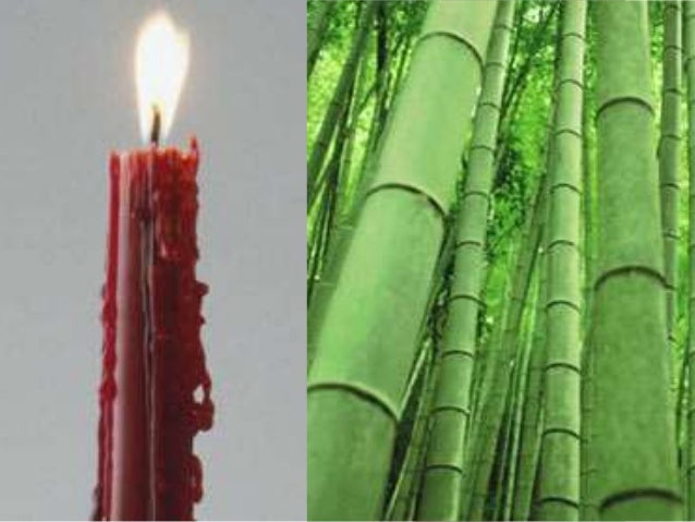 DISH Diffuse Idiopathic Skeletal Hyperostosis of the spine