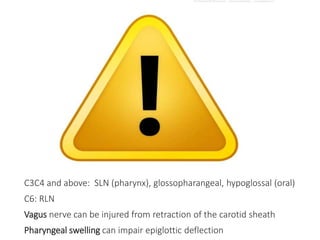 C3C4 and above: SLN (pharynx), glossopharangeal, hypoglossal (oral)
C6: RLN
Vagus nerve can be injured from retraction of the carotid sheath
Pharyngeal swelling can impair epiglottic deflection
 
