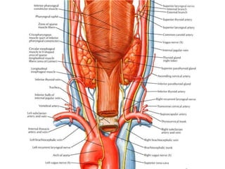 Lecture dysphagia following acdf surgery