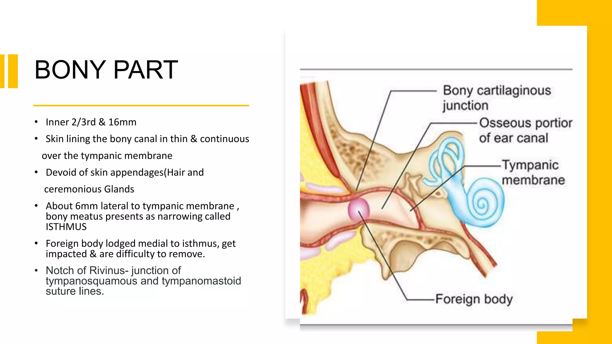 Inverted Ear lecture ear.pptx