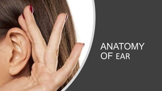ANATOMY
OF EAR
 