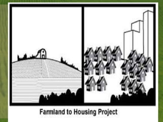 Science G10 3rd Q Ecosystem and Biodiversity