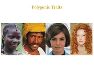 Polygenic Traits