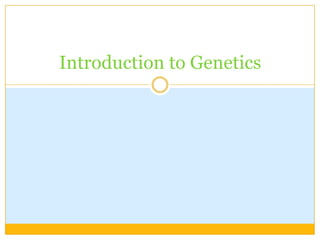 Introduction to Genetics 