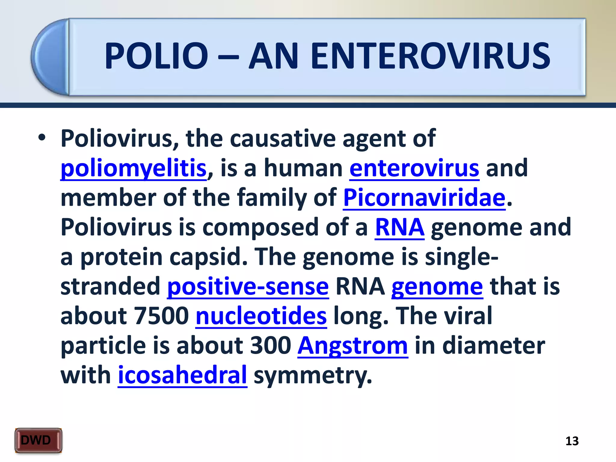 POLIO – AN ENTEROVIRUS
13DWD
• Poliovirus, the causative agent of
poliomyelitis, is a human enterovirus and
member of the family of Picornaviridae.
Poliovirus is composed of a RNA genome and
a protein capsid. The genome is single-
stranded positive-sense RNA genome that is
about 7500 nucleotides long. The viral
particle is about 300 Angstrom in diameter
with icosahedral symmetry.