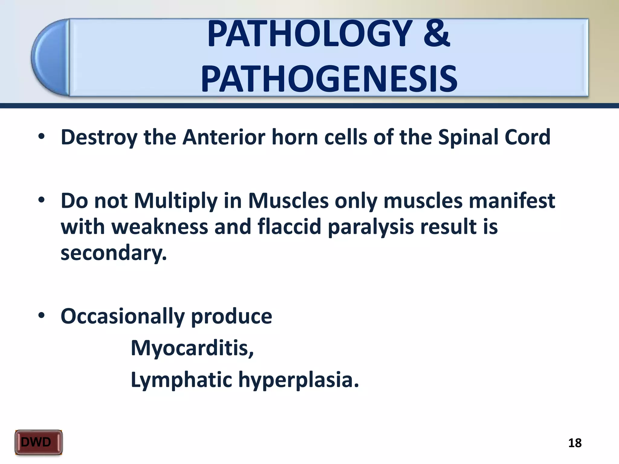 PATHOLOGY &
PATHOGENESIS
18DWD
• Destroy the Anterior horn cells of the Spinal Cord
• Do not Multiply in Muscles only muscles manifest
with weakness and flaccid paralysis result is
secondary.
• Occasionally produce
Myocarditis,
Lymphatic hyperplasia.