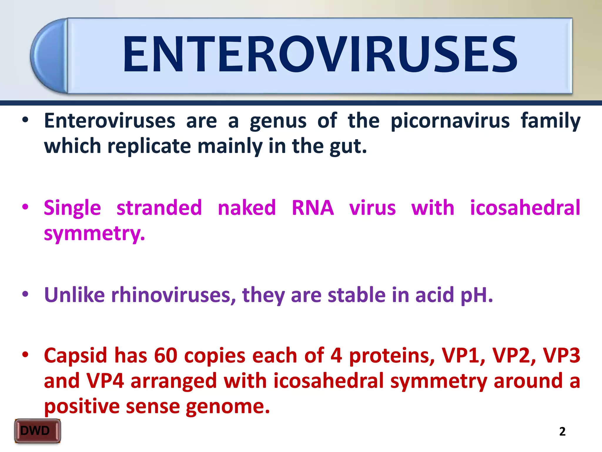 ENTEROVIRUSES
2DWD
• Enteroviruses are a genus of the picornavirus family
which replicate mainly in the gut.
• Single stranded naked RNA virus with icosahedral
symmetry.
• Unlike rhinoviruses, they are stable in acid pH.
• Capsid has 60 copies each of 4 proteins, VP1, VP2, VP3
and VP4 arranged with icosahedral symmetry around a
positive sense genome.