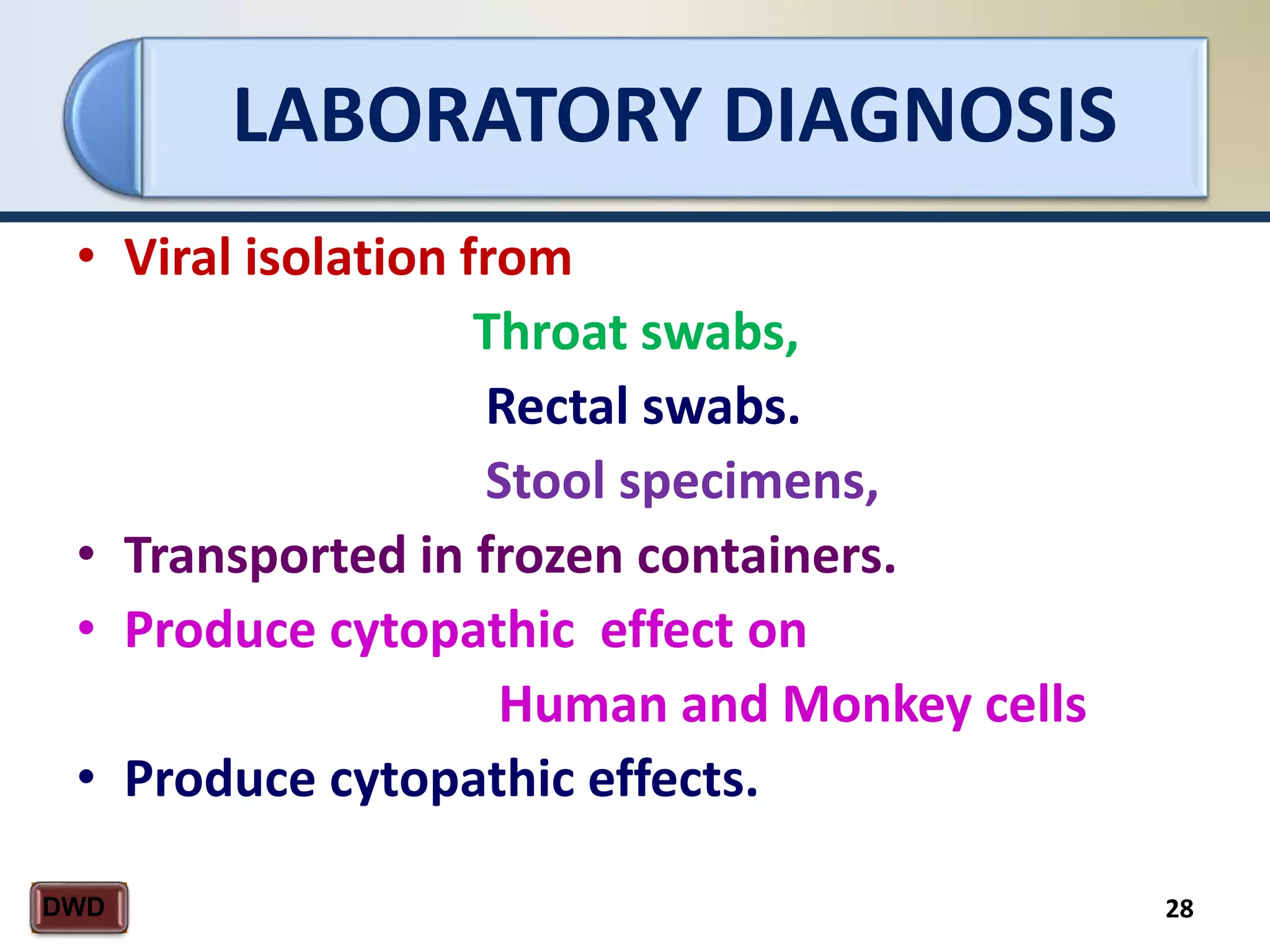 LABORATORY DIAGNOSIS
28DWD
• Viral isolation from
Throat swabs,
Rectal swabs.
Stool specimens,
• Transported in frozen containers.
• Produce cytopathic effect on
Human and Monkey cells
• Produce cytopathic effects.