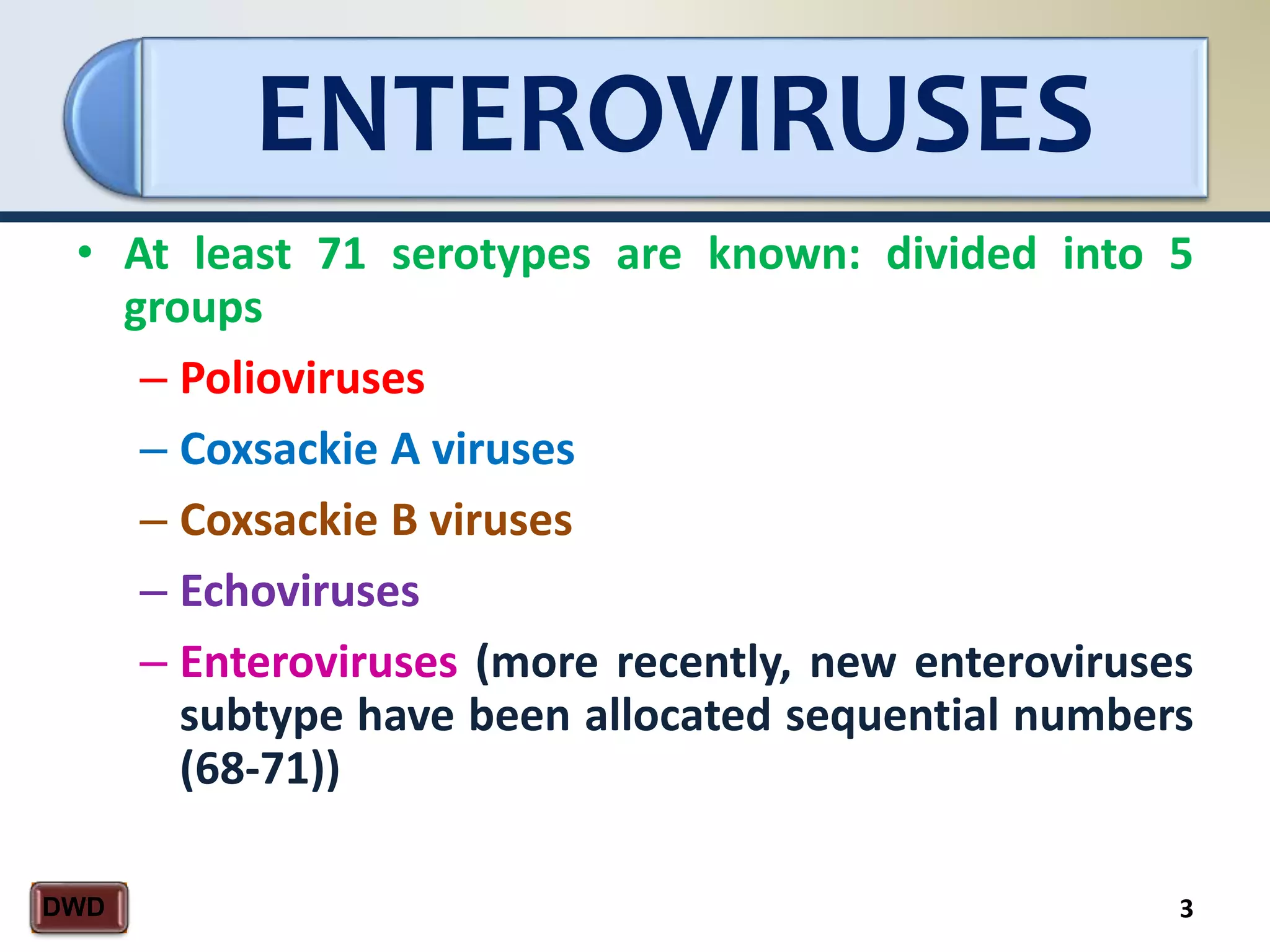 ENTEROVIRUSES
3DWD
• At least 71 serotypes are known: divided into 5
groups
– Polioviruses
– Coxsackie A viruses
– Coxsackie B viruses
– Echoviruses
– Enteroviruses (more recently, new enteroviruses
subtype have been allocated sequential numbers
(68-71))