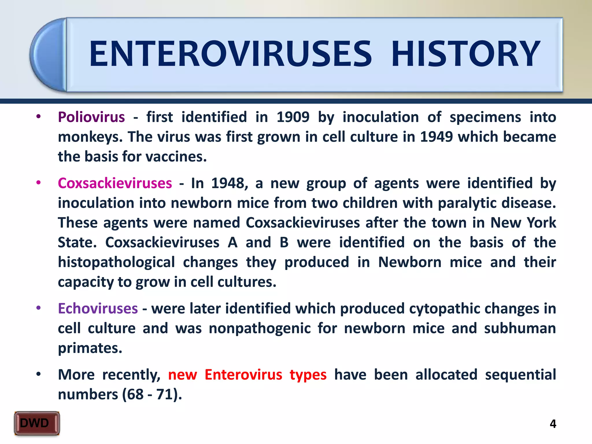 ENTEROVIRUSES HISTORY
4DWD
• Poliovirus - first identified in 1909 by inoculation of specimens into
monkeys. The virus was first grown in cell culture in 1949 which became
the basis for vaccines.
• Coxsackieviruses - In 1948, a new group of agents were identified by
inoculation into newborn mice from two children with paralytic disease.
These agents were named Coxsackieviruses after the town in New York
State. Coxsackieviruses A and B were identified on the basis of the
histopathological changes they produced in Newborn mice and their
capacity to grow in cell cultures.
• Echoviruses - were later identified which produced cytopathic changes in
cell culture and was nonpathogenic for newborn mice and subhuman
primates.
• More recently, new Enterovirus types have been allocated sequential
numbers (68 - 71).