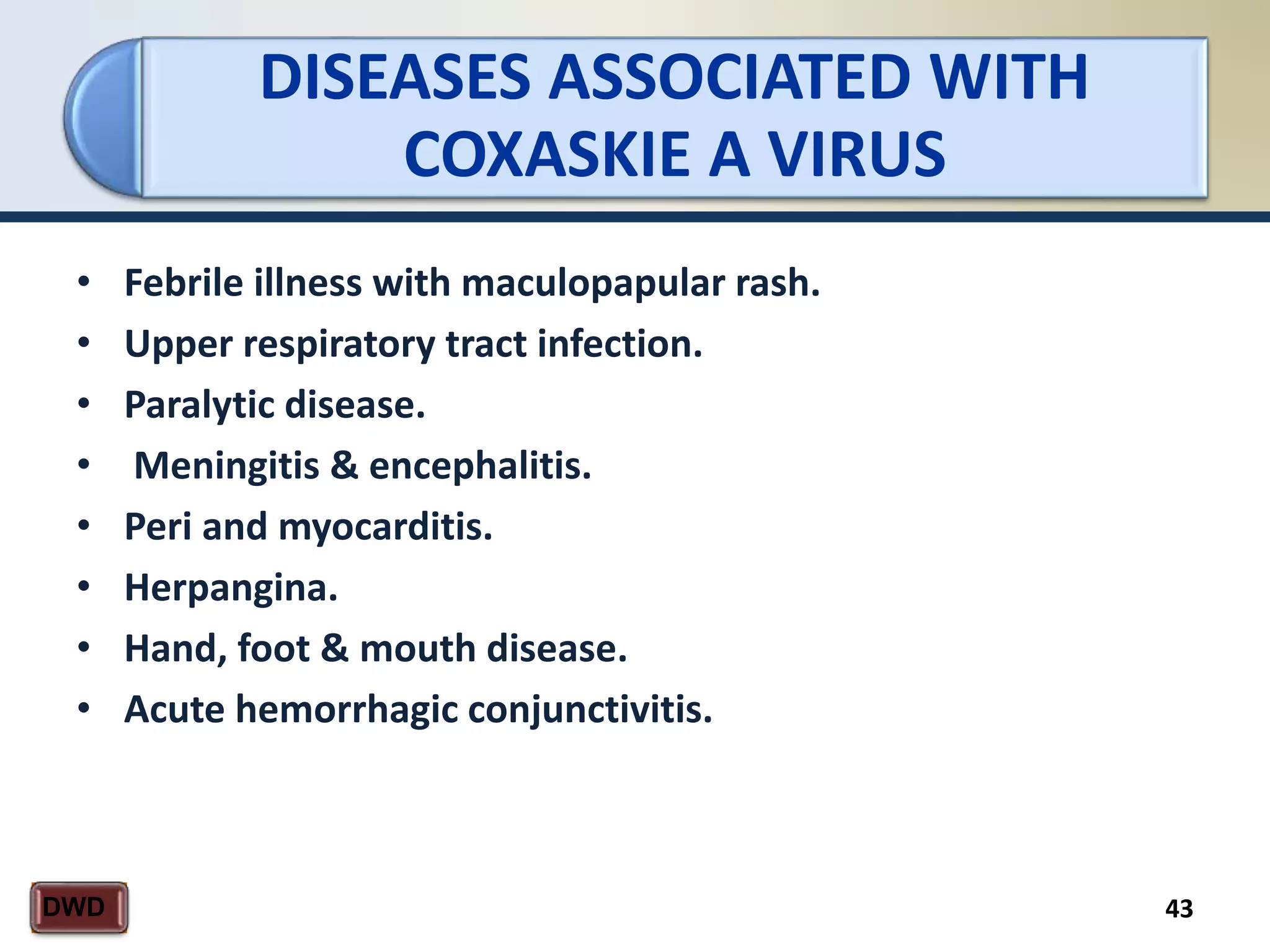 DISEASES ASSOCIATED WITH
COXASKIE A VIRUS
43DWD
• Febrile illness with maculopapular rash.
• Upper respiratory tract infection.
• Paralytic disease.
• Meningitis & encephalitis.
• Peri and myocarditis.
• Herpangina.
• Hand, foot & mouth disease.
• Acute hemorrhagic conjunctivitis.
