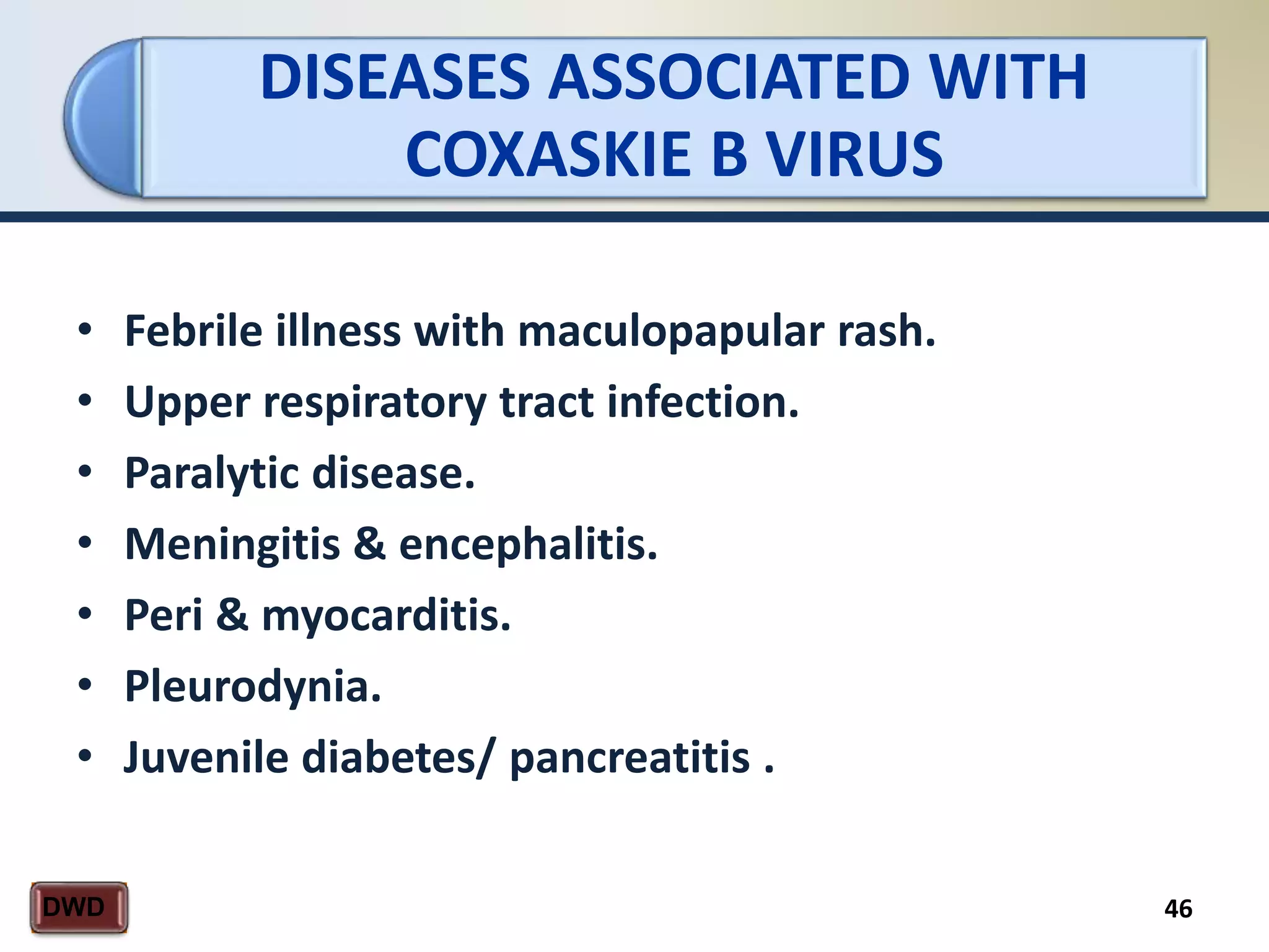 DISEASES ASSOCIATED WITH
COXASKIE B VIRUS
46DWD
• Febrile illness with maculopapular rash.
• Upper respiratory tract infection.
• Paralytic disease.
• Meningitis & encephalitis.
• Peri & myocarditis.
• Pleurodynia.
• Juvenile diabetes/ pancreatitis .