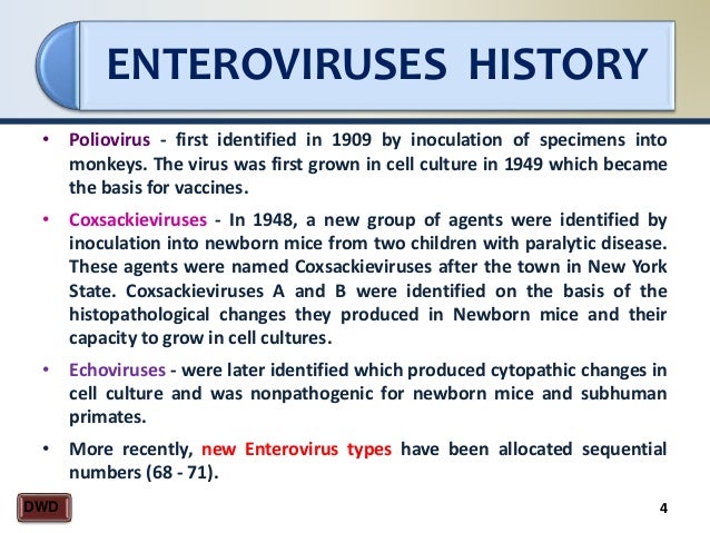 Lecture Enteroviruses Lecture Enteroviruses