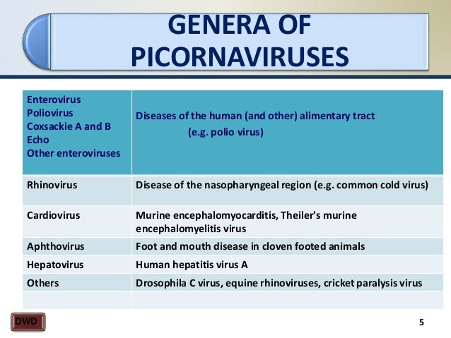 Lecture Enteroviruses Lecture Enteroviruses