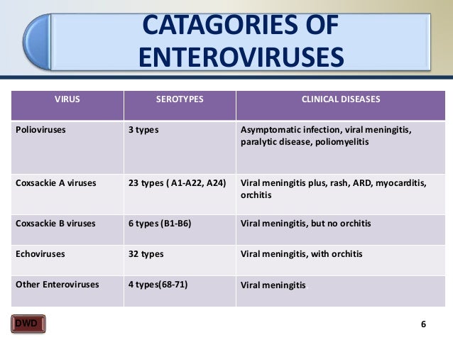 Lecture Enteroviruses Lecture Enteroviruses