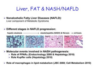 Liver, FAT & NASH/NAFLDNonalcoholic Fatty Liver Diseases (NAFLD):Liver component of Metabolic Syndrome