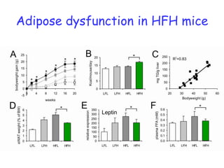 Role Kupffer cells (Hepatology 2010) 