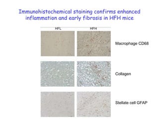 Interaction between WAT and liver tissue essential for NASH/NAFLD in C57Bl/6 miceObjective: Nonalcoholic fatty liver disease (NAFLD) is strongly linked to obesity and diabetes, suggesting an important role of adipose tissue in the pathogenesis of NAFLD. Here we aimed to investigate the interaction between adipose tissue and liver in NAFLD, and identify potential early plasma markers that predict NASH. 