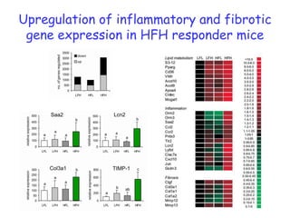 stratification on body weightfrozen sections: histological feat.lipid contentRNA extraction:Affx microarrays10 LFD0248121620 weeks20 LFD-3quality control & data analysis pipeline10 HFDMouse  genome 430 2.010% low fat diet (palm oil)45% high fat diet (palm oil)ep. white adipose tissueparaffin sections: histological feat.RNA extraction: real-time PCR