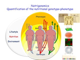 Nutrigenomics Quantification of the nutritional genotype-phenotype LifestyleNutritionEnvironment